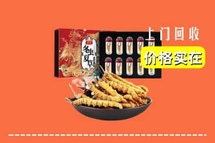凌源市回收冬虫夏草